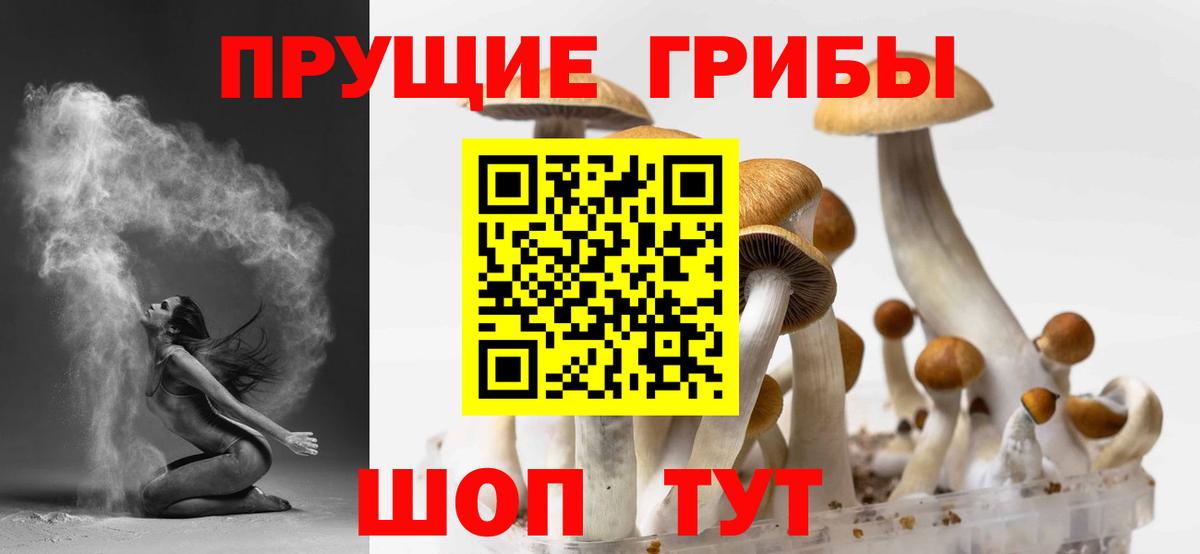 Воскресенск  Псилоцибиновые грибы прущие грибы  Вход с VPN 